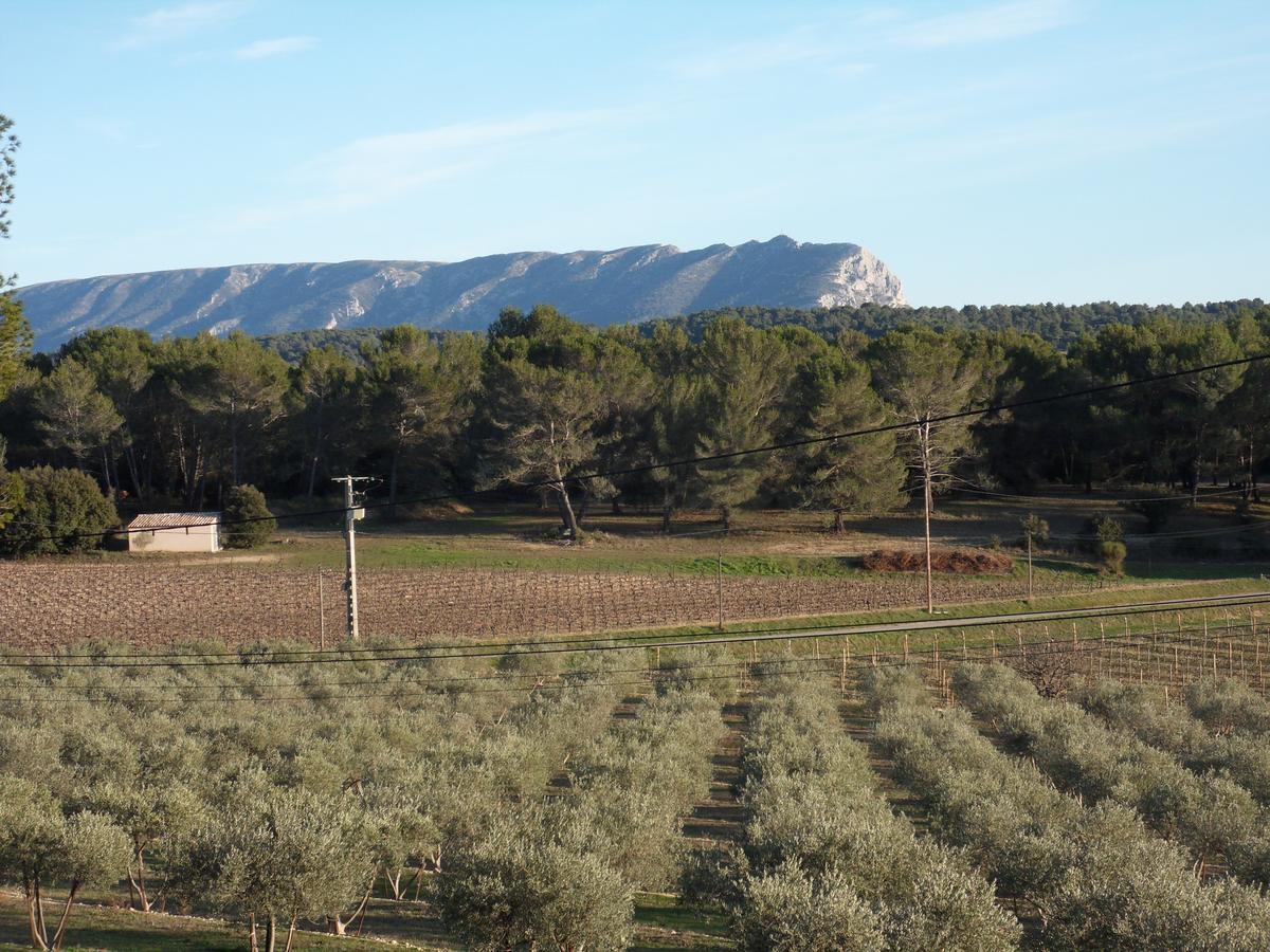 Domaine De L'Olibaou Bed and Breakfast Venelles Buitenkant foto
